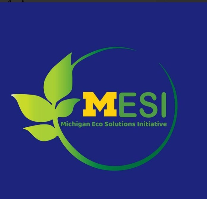 Michigan Eco-Solutions Initiative 